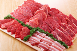 Capitalizing on our strength in imported raw materials – Processed Meat Business