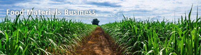 Sugar & Food Materials Business